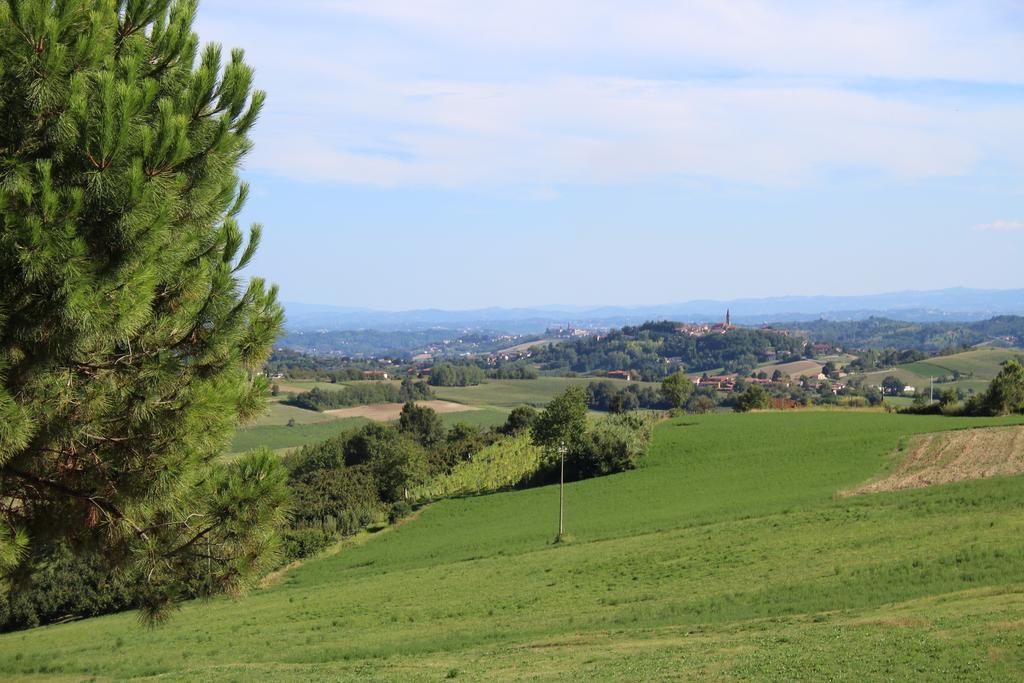 Azienda Agricola Garoglio Davide Alfiano Natta المظهر الخارجي الصورة