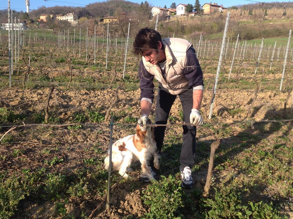 Azienda Agricola Garoglio Davide Alfiano Natta المظهر الخارجي الصورة